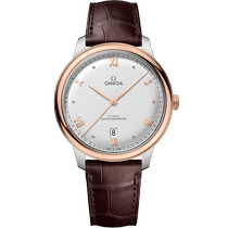 碟飞<span class="nowrap">系列</span> 40毫米, 精钢-Sedna™ 18k金表壳 - 43423402002001