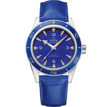 海马<span class="nowrap">系列</span> 41毫米, 铂金 搭配 皮表带 - 23493412199002