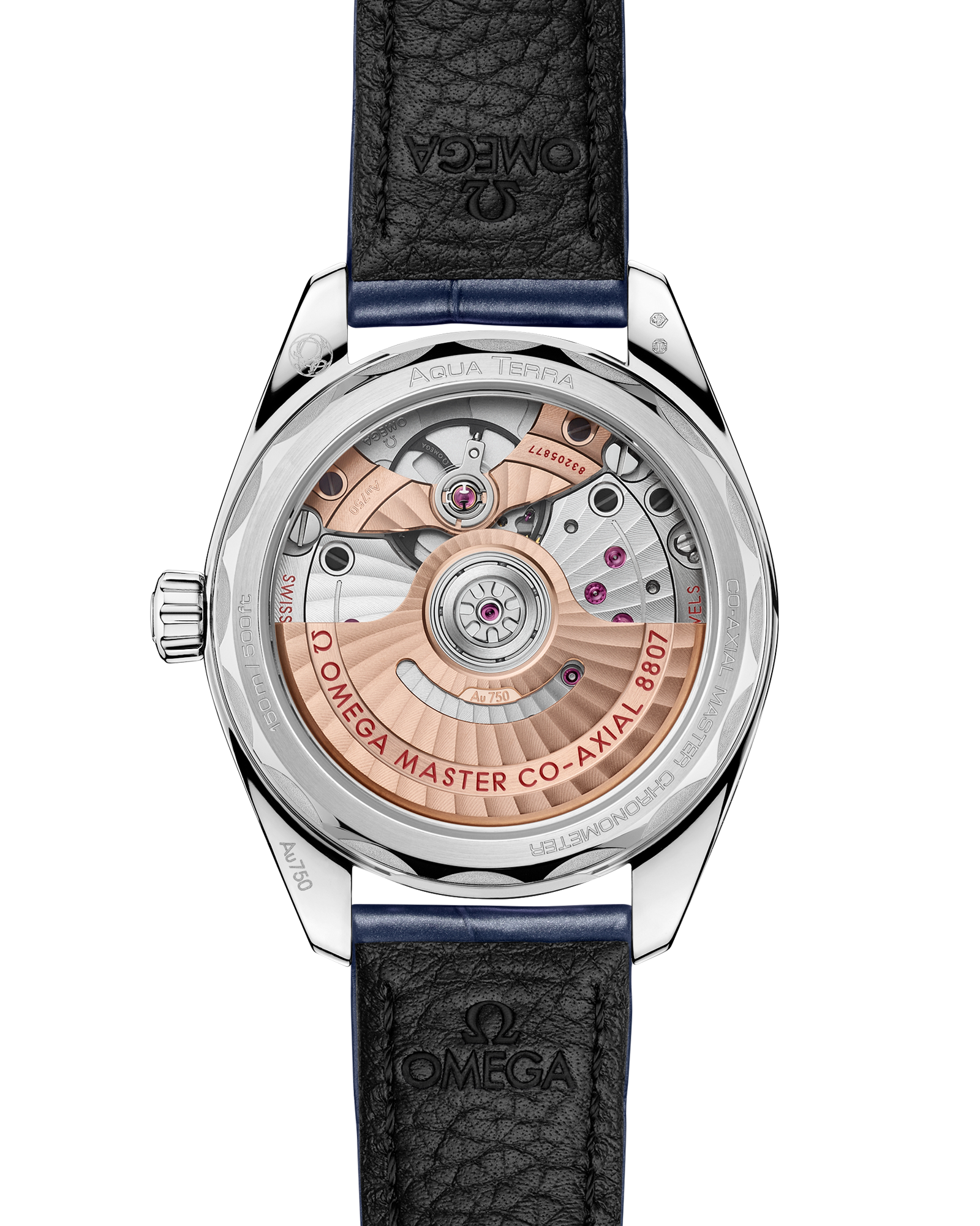 海马系列 AQUA TERRA 150米腕表 34毫米, Canopus 18k金 搭配 鳄鱼皮 - 220.58.34.20.99.007 - 影像 2