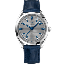 海马系列 AQUA TERRA 150米<span class="nowrap">腕表</span> 41毫米, 精钢表壳 搭配 皮表带 - 22013412106001