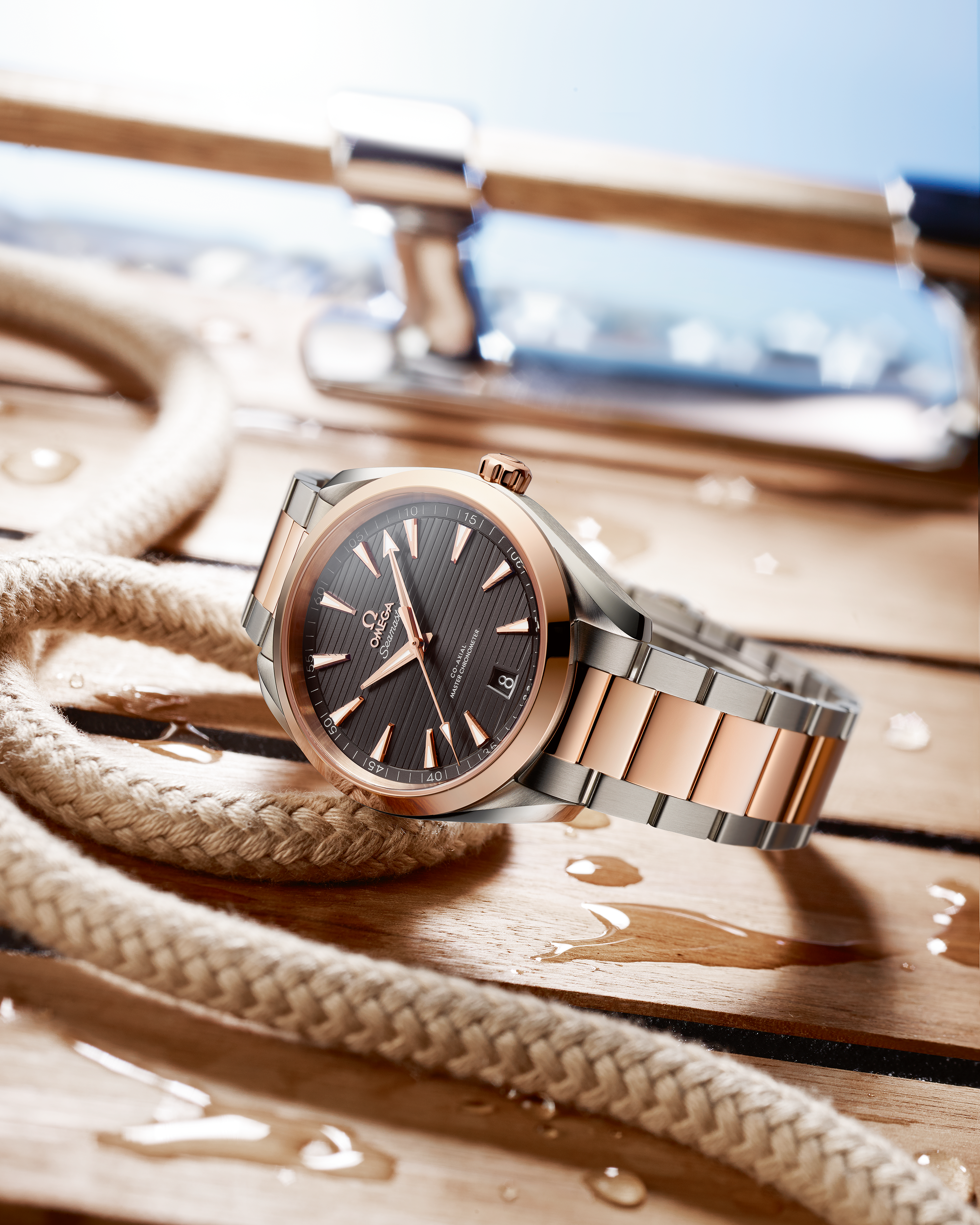 海马系列 AQUA TERRA 150米腕表 41毫米, 精钢-Sedna™ 18k金表壳 搭配 精钢-Sedna™ 18k金表链 - 220.20.41.21.06.001 - 影像 2