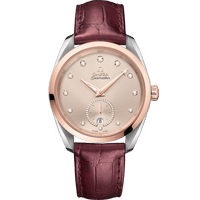 海马系列 AQUA TERRA 150米<span class="nowrap">腕表</span> 38毫米, 精钢-Sedna™ 18k金表壳 搭配 皮表带 - 22023382059001